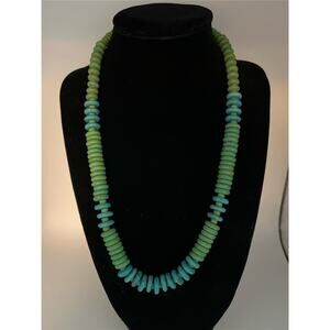 Native American Gaspeite and Turquoise color Howlite Disc Necklace